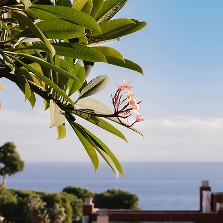 Hacienda Clavero Six Premium Apartamento *