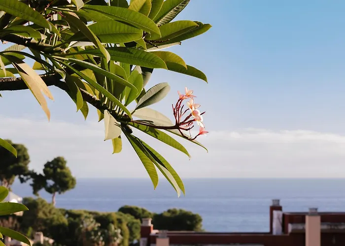 Hacienda Clavero Six Premium 公寓 *